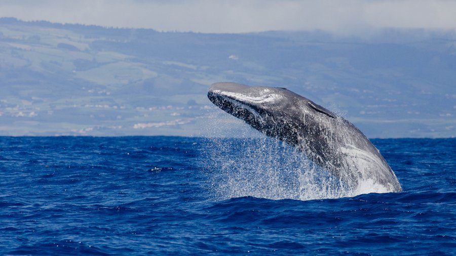 Faculty of Natural Sciences - Aarhus University tweet media