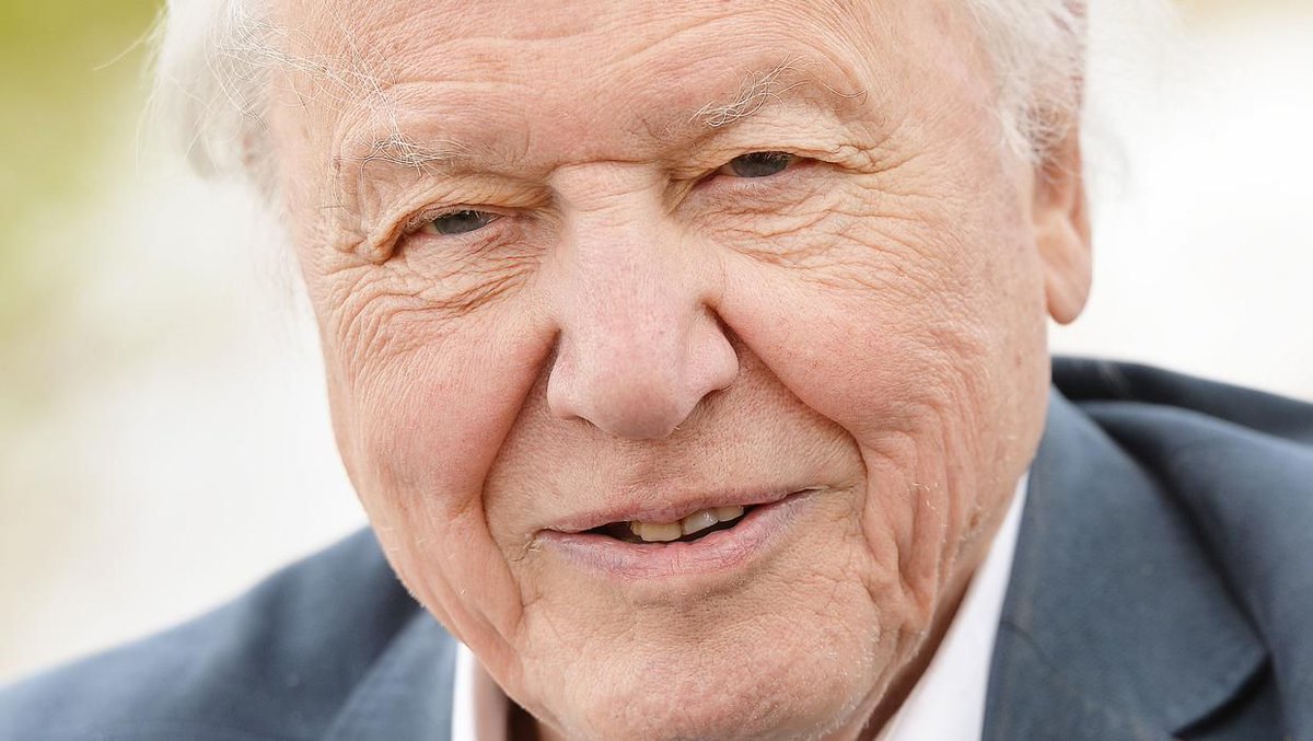 David Attenborough to receive lifetime achievement award