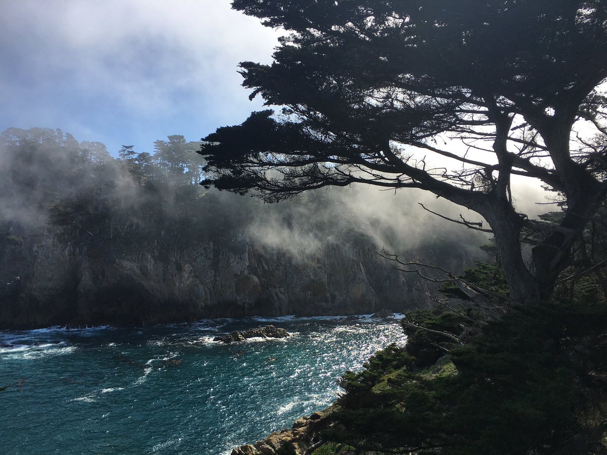 iheartptlobos's tweet photo. Giving Tuesday is an opportunity to come together to give back in all forms- acts of kindness, gifts of voice, time, talent or treasure. 
#donate #GivingTuesday https://t.co/ShxDt5fXys