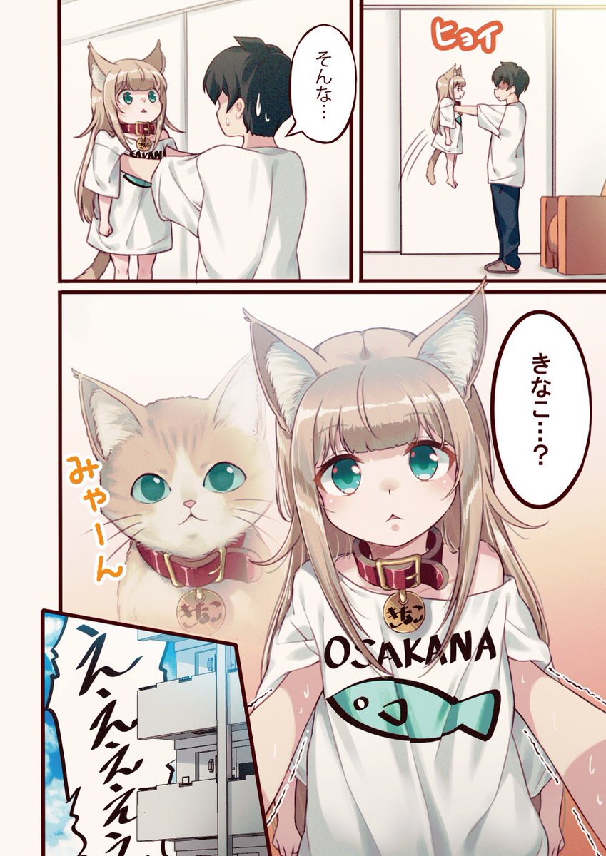 ?1話 うちに猫がやってきた!(2/2)
#うちのねこが女の子でかわいい 