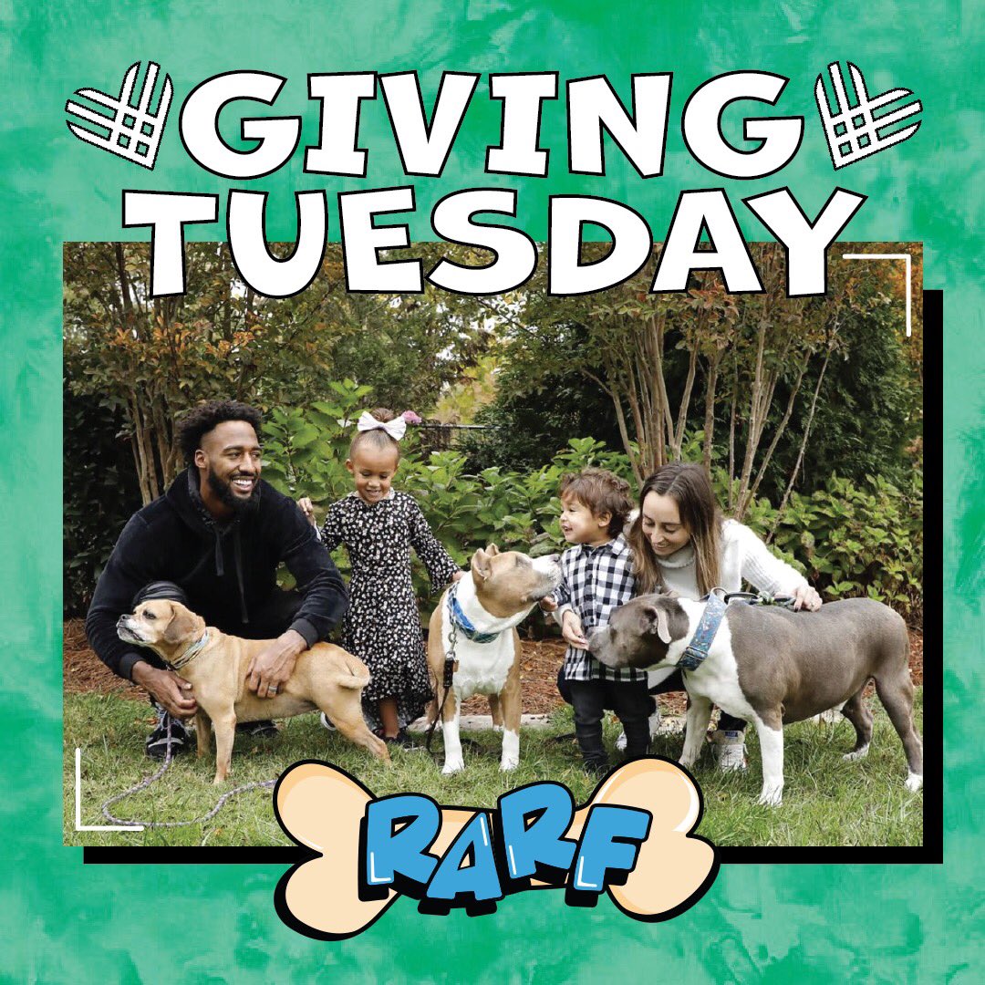 RealLoganRyan's tweet photo. For every donation to my animal non-profit @RARF_official, I will personally match!! Let’s see how crazy things get!! Spread Gratitude 🙏🏾#RyanAnimalRescueFoundation #RARF
https://t.co/Roh5zuunuB https://t.co/t1xzHFcjwn