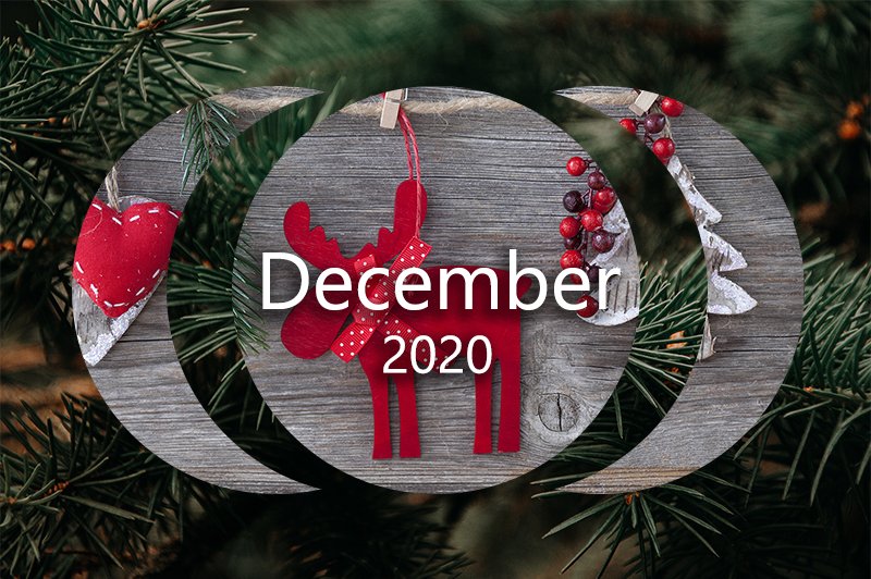 It's that time again--time for another newsletter! This is my last for 2020, and I'm looking forward to 2021! - mailchi.mp/07d55997af8b/b…