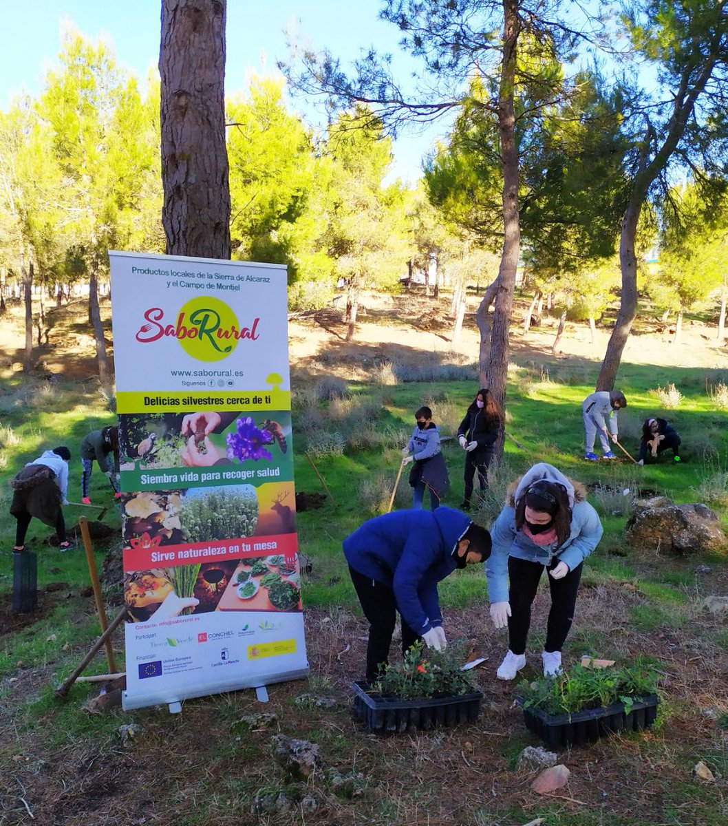 SaboRural tweet media