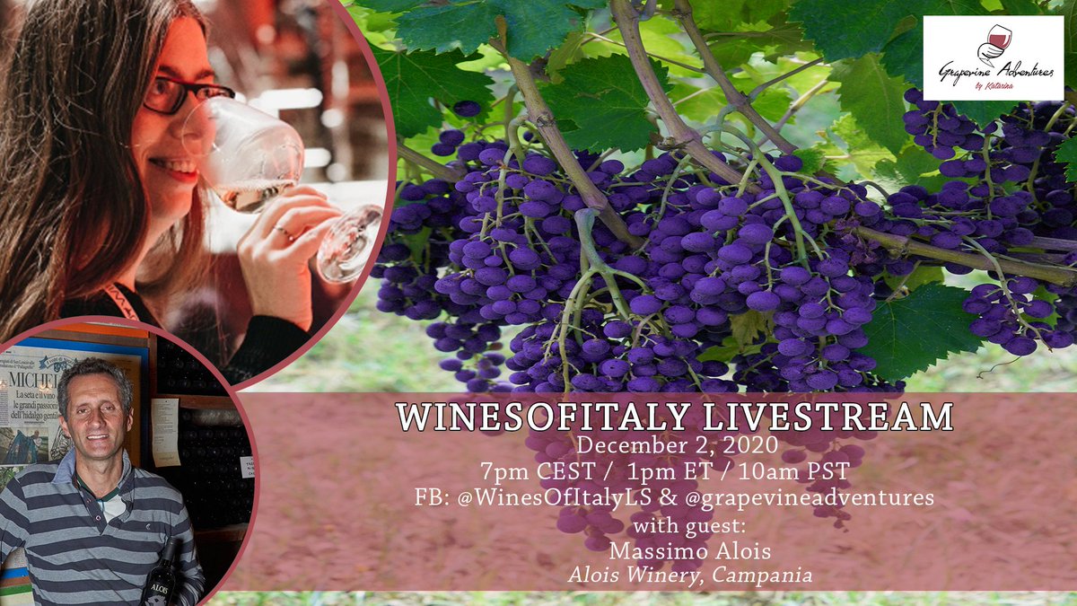 #WinesOfItaly #LiveStream
by Katarina
🥂🍷🎄
... goes back to #Campania on 2 December to talk with Massimo from @vinialois winery about native grapes such a Pallagrello Nero.
👇
7pm CEST /  1pm ET / 10am PST  

Here &amp; at FB: <a href="/WinesOfItalyLS/">WinesOfItalyLive</a> &amp; @grapevineadventures 

Coming?