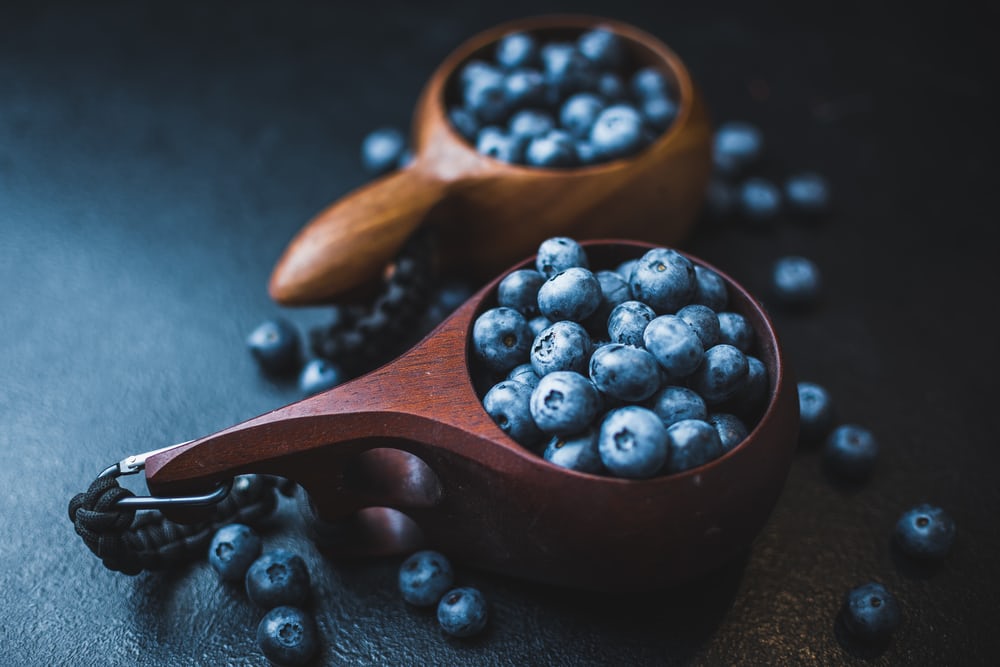 blueberries's tweet photo. A handful of #blueberries a day packs a punch that is delicious and nutritious. #positivelybluetiful #RDchat #RDeats https://t.co/B5h4Geedvh