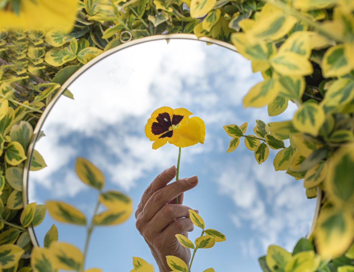 HawkwoodCFT's tweet photo. Continuing our #ecoseries 🌎 this 𝑻𝒉𝒖𝒓𝒔𝒅𝒂𝒚 3𝒓𝒅 𝑫𝒆𝒄 16:30 - 17:30
★ Sustainable Living ★ 𝐒𝐞𝐬𝐬𝐢𝐨𝐧 𝟑 𝐰𝐢𝐭𝐡 @nataliefee founder of @CitytoSea_ Look at great ways to make your #Christmas eco!
Register below
https://t.co/l9Ff0ZTE4l
#sustainability https://t.co/EbqCW0sOOs