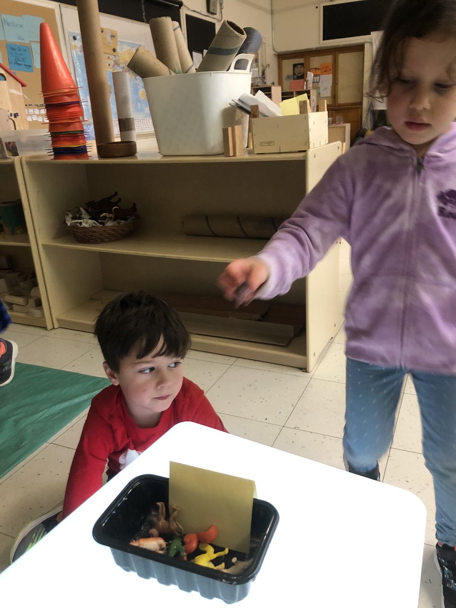 Jackieinwd's tweet photo. What do we do when we have more than one idea? E shouted “We vote!” Can you guess where we went this morning? #nspreprimary #capablechildren #gardenorfield #youngdemocrats #everyvotematters https://t.co/KA0JL1onmf