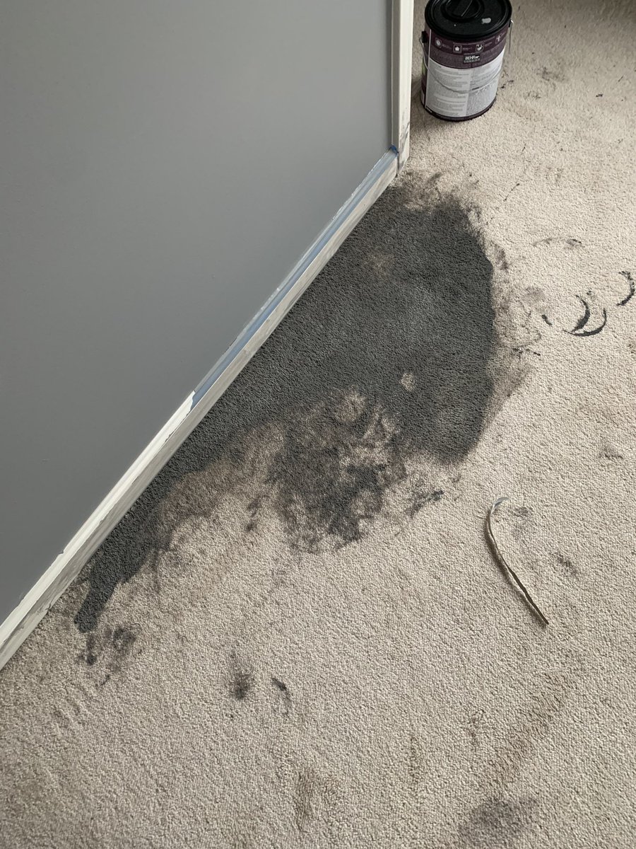 ... the carpet, that’s another story.