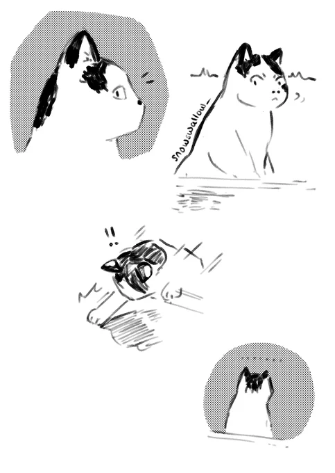 Thinking about how the local cat got really invested in hunting his shadow without knowing, realised it was his shadow, and then had a really big sulk about it...... 