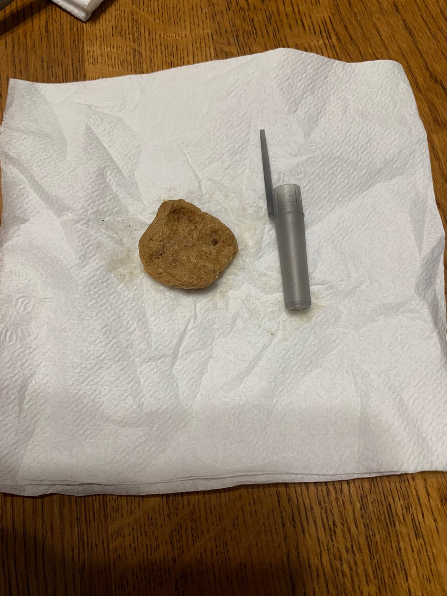 ImJustNikNak's tweet photo. @PurinaONEdog  true instincts is the only food my dog can eat, but for some reason this bag has gigantic pieces and she cannot chew them. https://t.co/Y497PdT08O