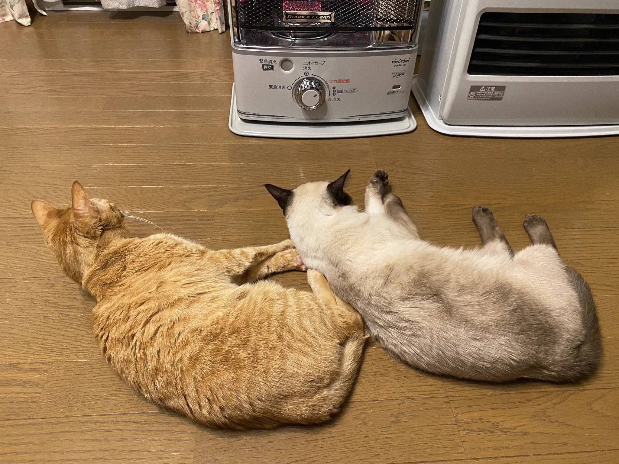 ストーブに近づきたい猫たちと離したい人間の闘い！勝つのは？