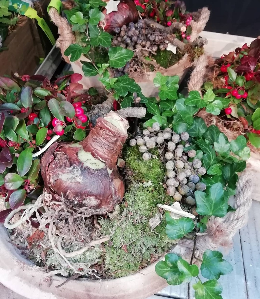 theelfyone's tweet photo. has anyone any notion of where I can find moss for arrangements like this? it's all over the place in Holland but I can't track any down here 😢 https://t.co/4vdTyw8Pe3 https://t.co/007UB1tmR9