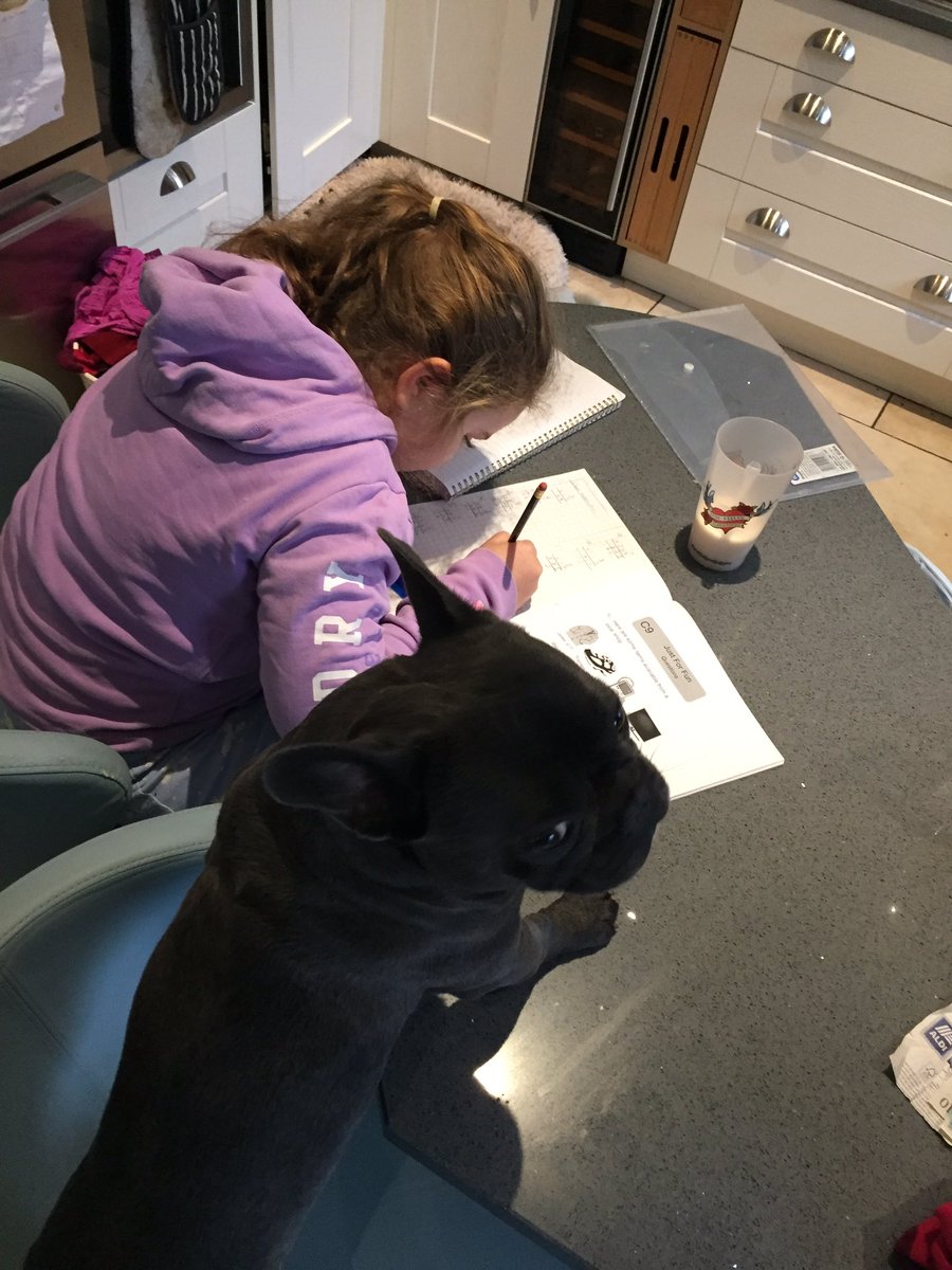 maternitylawyer's tweet photo. Day 6,022: it’s been a busy few days helping Sophie her maths homework (nailed it) a visit to Eyam to learn about the Plague. I’m shattered keeping you all entertained. As we move into tier 3, take it slowly. Take it easy on yourself. I’m off for another nap. #TipsfromMrJ https://t.co/bokkKXzUDw