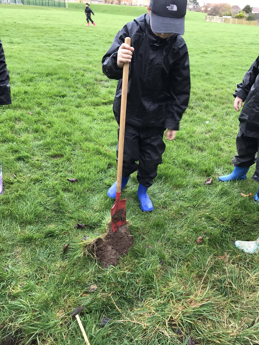 MrsBatemanFS's tweet image. Year 3 putting down roots for their future - from little acorns big trees do grow 🌱@UnityBlackpool @NatureFSchools @BBCCountryfile