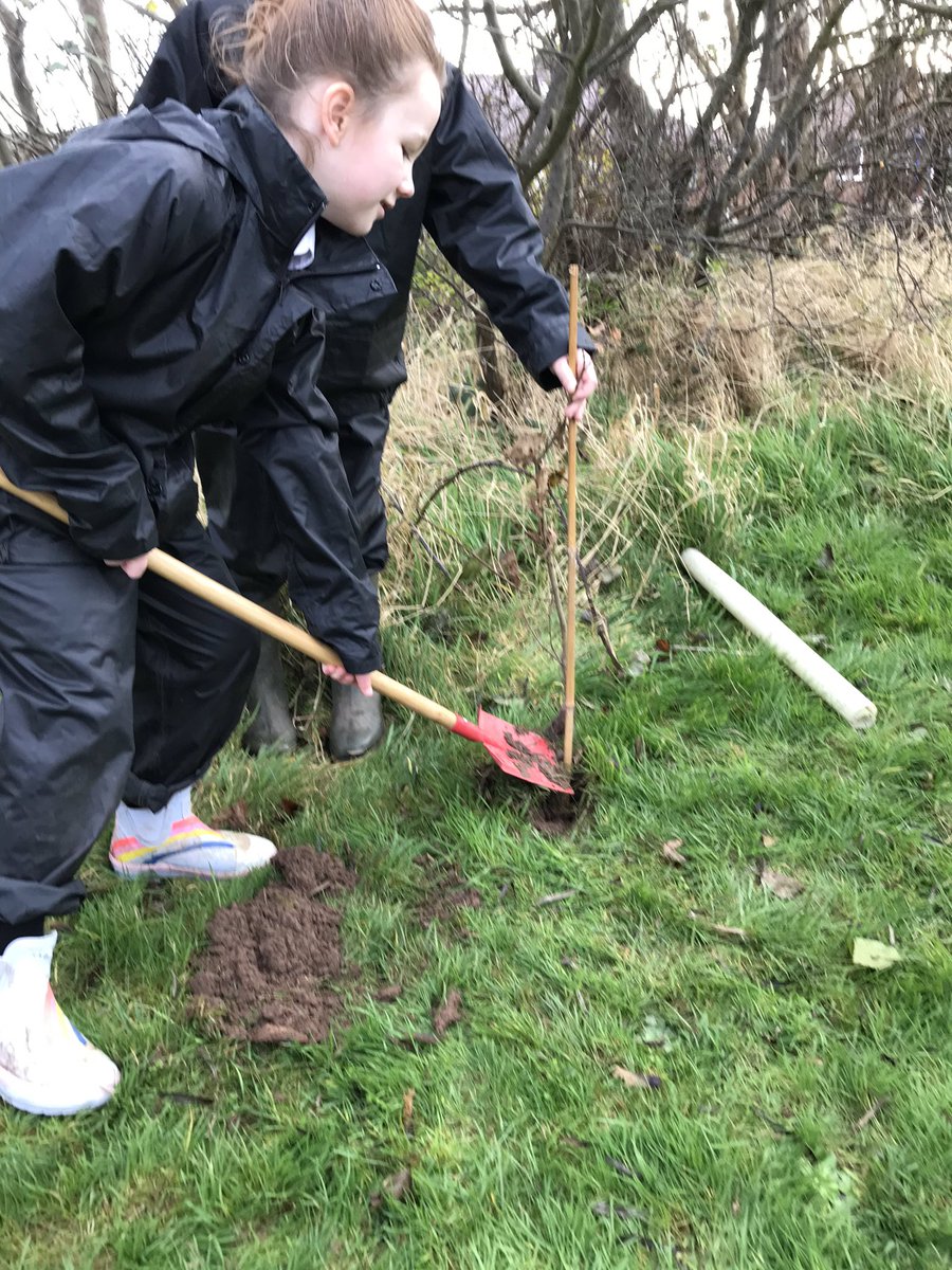 MrsBatemanFS's tweet image. Year 3 putting down roots for their future - from little acorns big trees do grow 🌱@UnityBlackpool @NatureFSchools @BBCCountryfile