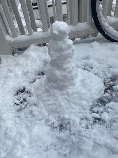 TheGradyLab's tweet image. First snow of the season and the Grady Lab is here for it.