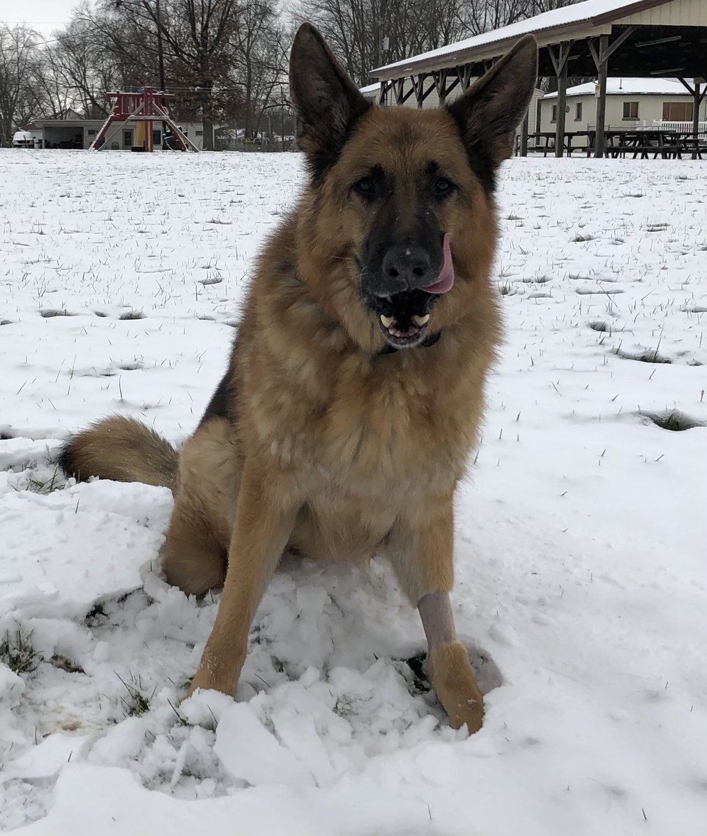 Franklin County Sheriff’s Office tweet media