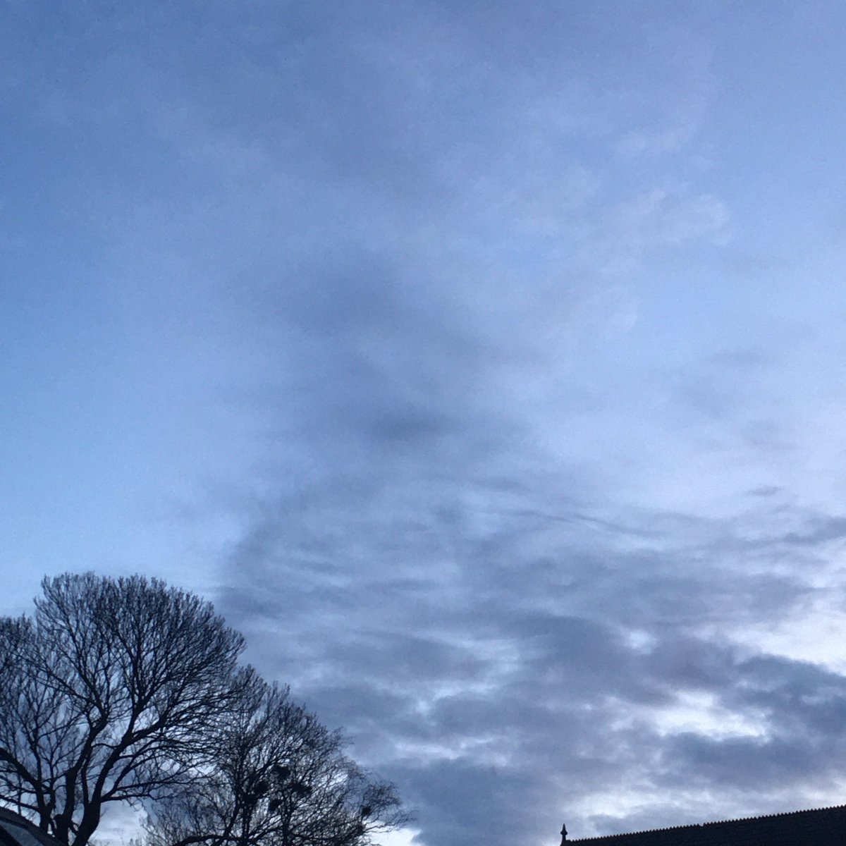 CreativChangeNI's tweet photo. Almost winter light #randombelfast https://t.co/bIXKca3065