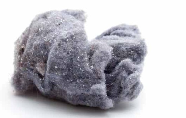 Юкка обои. Юкка обои. Golang картинка прикольная. Golangci lint. Стандартная библиотека golang books.