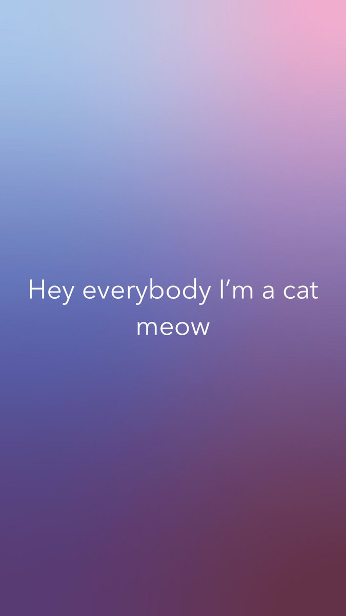 WarehouseCat's tweet photo. https://t.co/1UhJXPoxX2