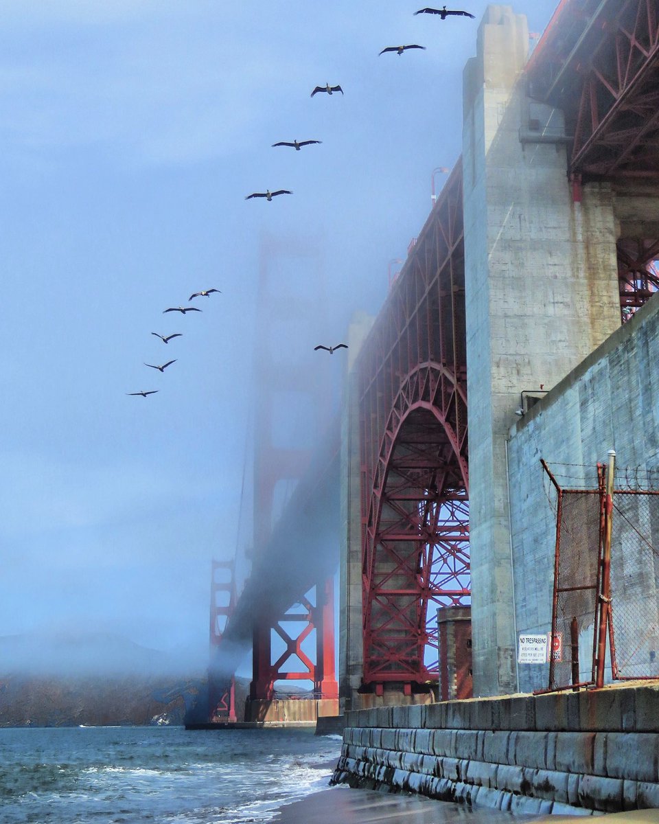 tmsfphotography's tweet photo. Love this beautiful bridge. 🌉🌊

#ggb #alwayssf #SanFrancisco 
@SFGate @nbcbayarea @onlyinsf @7x7 https://t.co/6NGrVOrM3V