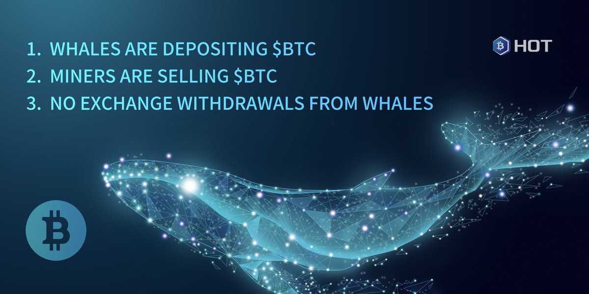 HOT_IN_Offical's tweet photo. The price of BTC can't exceed $20000? 💎Do you agree the following points?👇👇👇
#Bitcoin
#BitcoinPrice
#crypto
#digitalcurrency https://t.co/zoINcYQFin