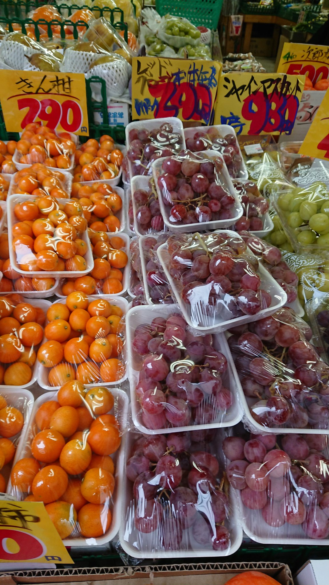 安信屋 西小山店 こんにちは 今日はアメリカのブドウ レッドグローブ が安いですよ かわごと食べれます イチゴ は一番安いですよ さつましぼり沢庵はびっくりするぐらい美味しいです 野菜 西小山 安い 新鮮 イチゴ T Co Ami8jrrfqd