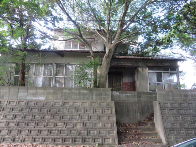 木漏れ日が友だち