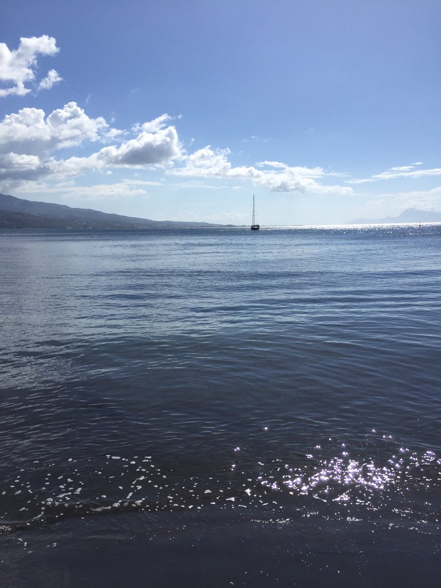 flying_pdj's tweet image. Spoiler 🚨 Voici la plage de départ de la @flying_pdj 2021! #mothfoil #onefly #waszp #windfoil #lovetahiti