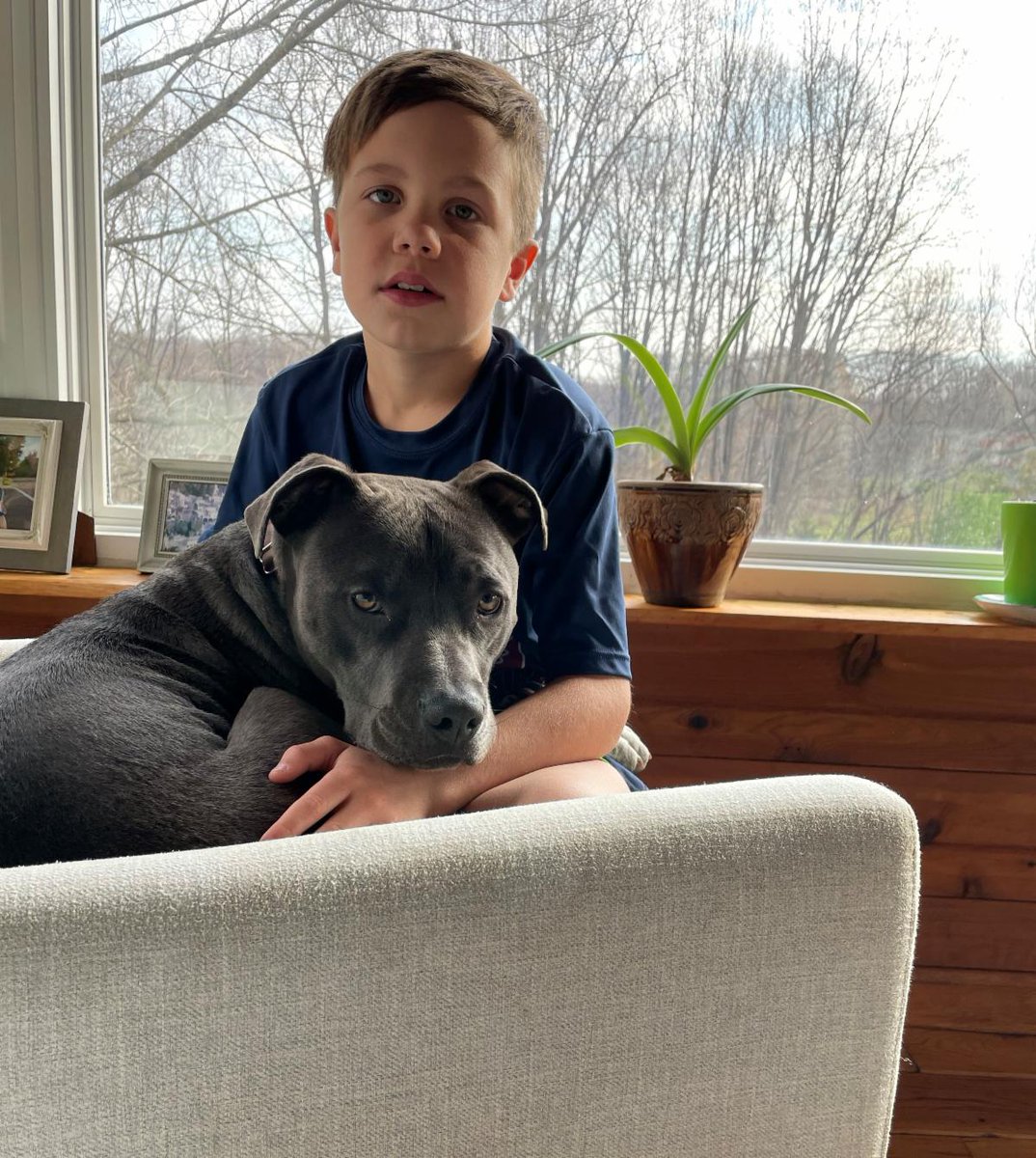 HART Animal Rescue tweet media