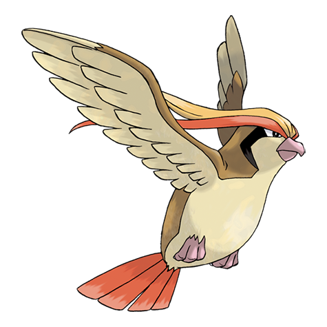 LimitedPokeFact's tweet photo. it is much similar to a bird of prey. When you look at Pidgeot you see an eagle or an osprey.

Certainly not a pigeon as its name might suggest. https://t.co/gyDIJoJGAv