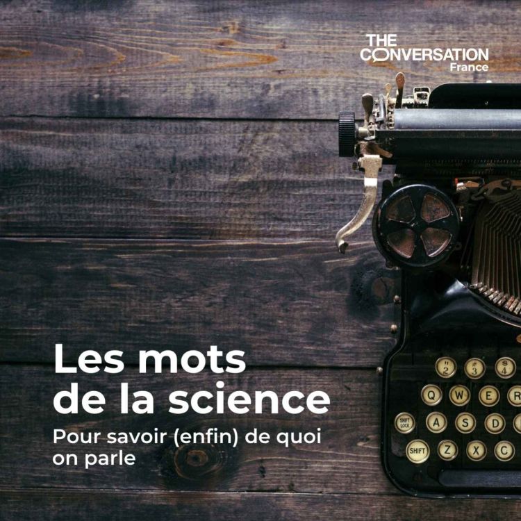 🎧 Podcast 🎧

Claude Martin discute du concept de parentalité à l'émission «Les mots de la science» (<a href="/FR_Conversation/">The Conversation France</a>). 

En attendant la mise en ligne de notre prochain numéro sur ce thème, vous pouvez l’écouter ici: shows.acast.com/les-mots-de-la…