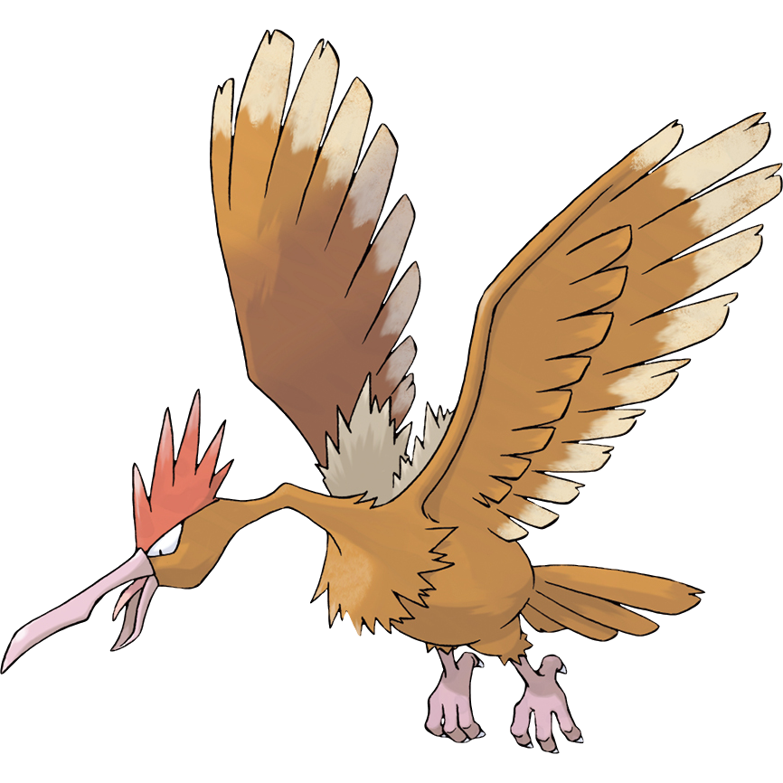 LimitedPokeFact's tweet photo. Fearow appears to be based on various predatory birds, particularly vultures and condors due to its long neck, sharp beak, shaggy feathers, broad wings, and soaring flight. The large comb on its head resembles a rooster's. https://t.co/umjrSoedHK