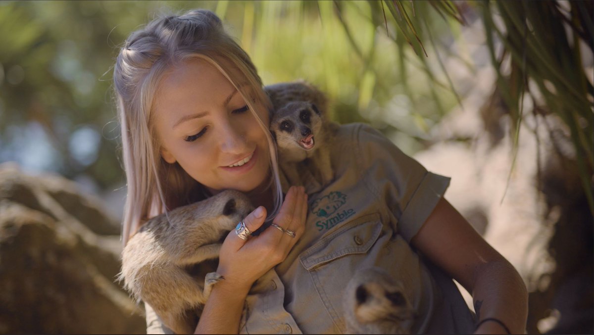 Most playful meerkats you will ever see! youtu.be/CBBh0Ma1qBw via <a href="/YouTube/">YouTube</a>