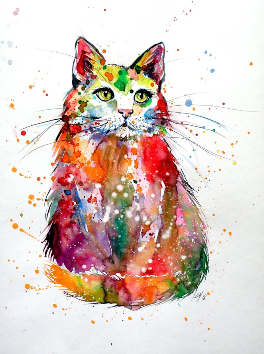 Colorful cat