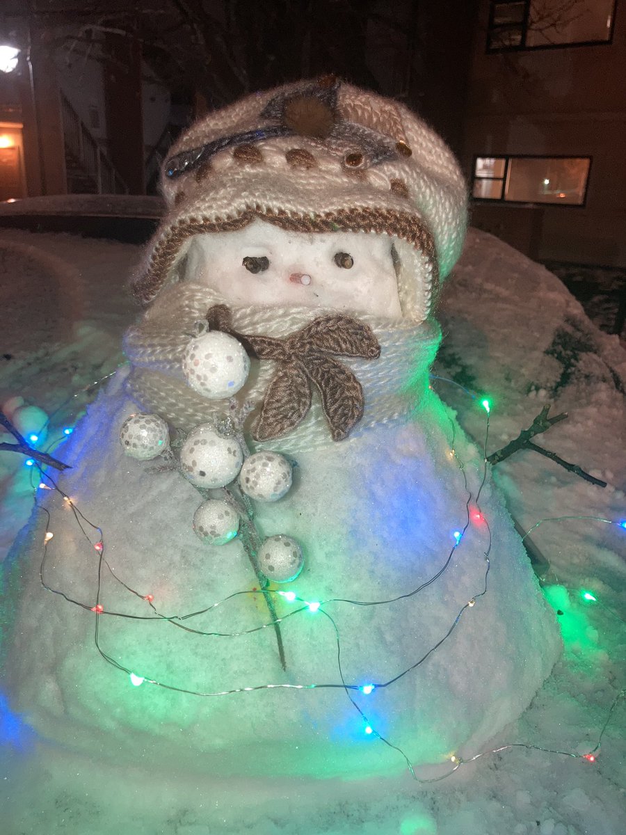 TheGradyLab's tweet image. One more excellent gradylab snow creature or Snemand in Danish. ⛄️