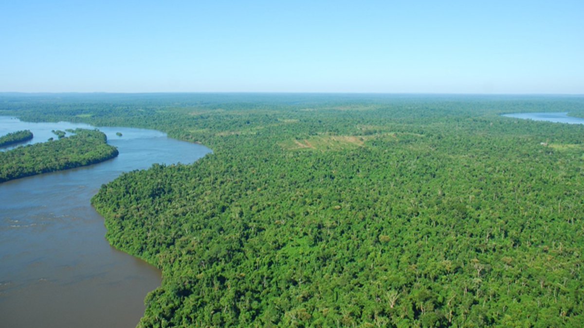 AvesArgentinas's tweet photo. Seguimos trabajando en la Península de Andresito, en #Misiones. El #ProgramaNEA - #BosqueAtlántico y Gran Chaco lleva a cabo acciones de conservación en el denominado #PuenteVerde, sitio donde convergen los Parques Nacionales Iguazú en Argentina y do Iguaçu en Brasil. 🐾 https://t.co/X46IfjuDf7