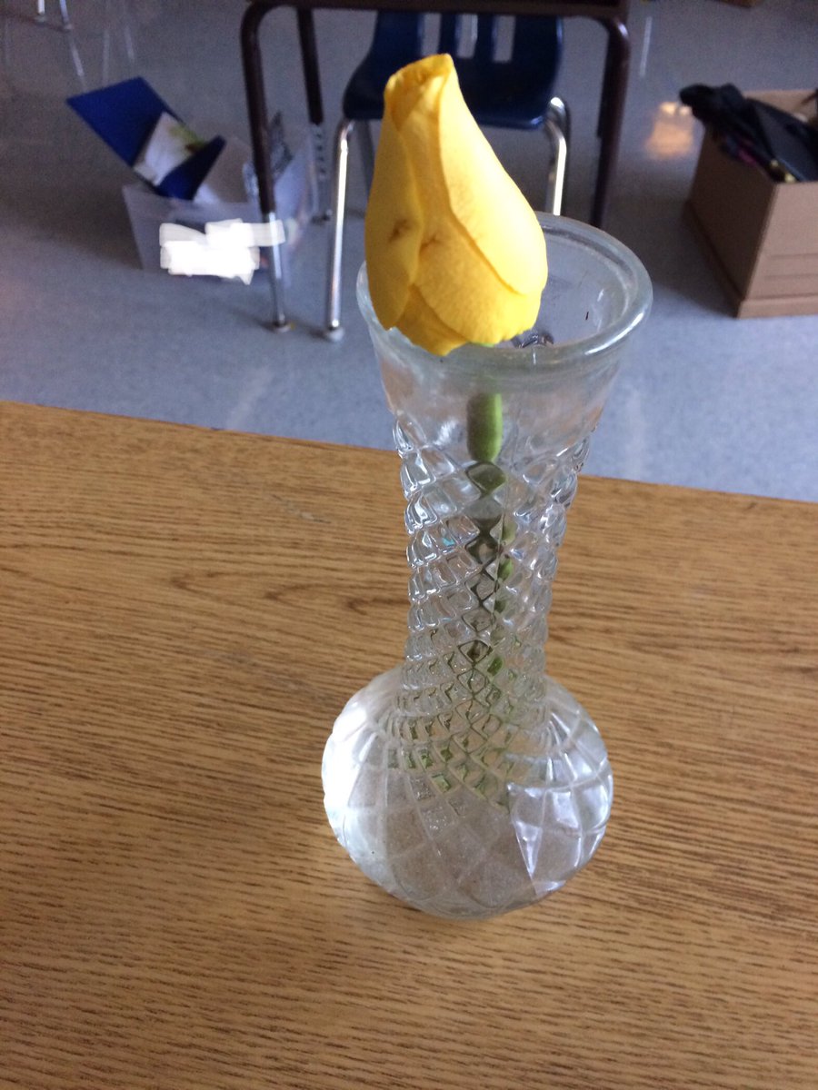 A S told me today that her mom said not to open her lunch box until lunchtime. This beautiful yellow rose was waiting for her and we found a vase under the classroom sink. Made both of us happy all day! <a href="/MeriwetherLES/">Meriwether Lewis</a>
