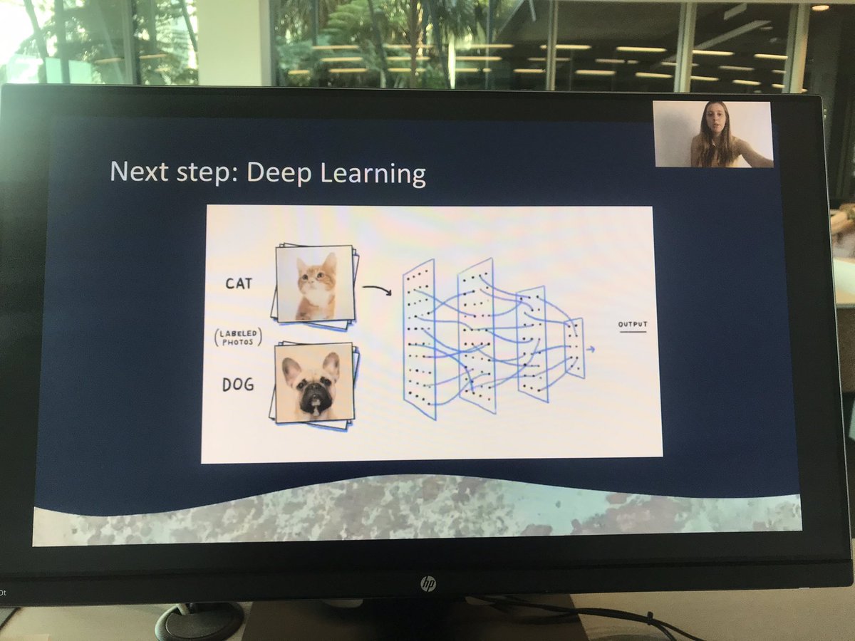 simone_yasui's tweet photo. Anna Giles teaching me how machine learning works and how drone photos can be used for coral bleaching assessments 🌊 #ESAus20 https://t.co/YtSf7DPlR9