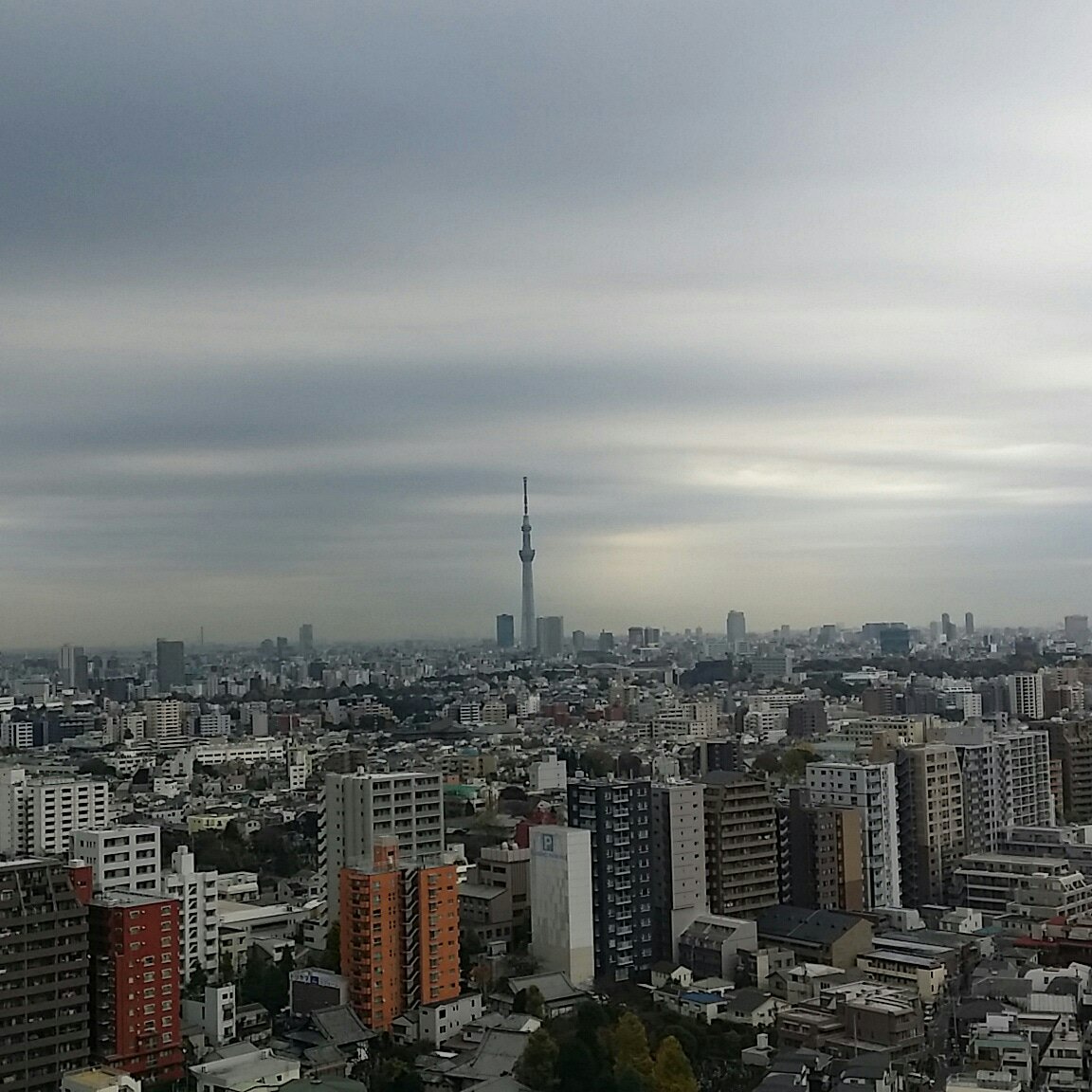 天気実況 天気実況