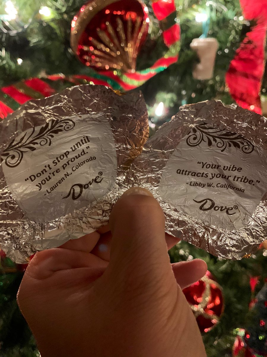 ShandaTrautman's tweet photo. The @DoveChocolate messages on this first day of December in 2020 are fueling my next 31 days. 

It’s been a year of heartache, learning &amp; hard work. Don’t just make the remainder of 2020 great, go make it exceptional! #December1st #December2020 #makeitexceptional #December https://t.co/WYBUe7k7p1