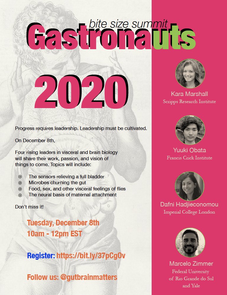 gutbrains's tweet photo. Progress requires leadership. Leadership must be cultivated. Join us for Gastronauts BITE SIZE SUMMIT 2020. 

When: Tuesday, December 8th 10am-12pm EST
Register here: https://t.co/8RquMAf2CL

Four rising leaders in visceral and brain biology share their work, passion, and vision. https://t.co/0igHiRu7kG