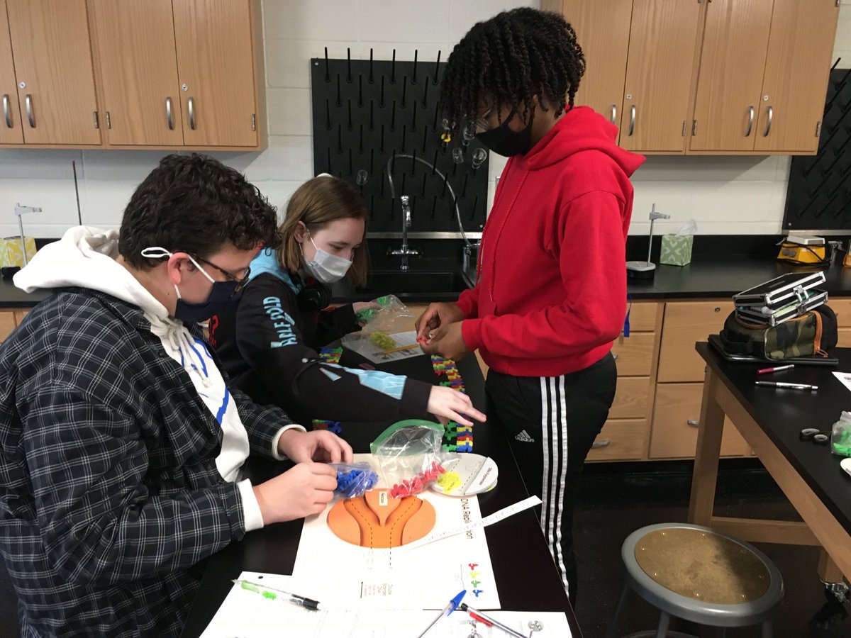 BergstromBio's tweet photo. Models put molecular biology in the reach of our ⁦@FCHSTigers⁩ Great focus today, scholars https://t.co/12QFXZM28S