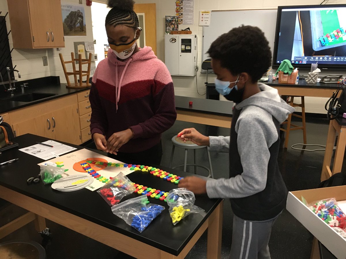 BergstromBio's tweet photo. Models put molecular biology in the reach of our ⁦@FCHSTigers⁩ Great focus today, scholars https://t.co/12QFXZM28S