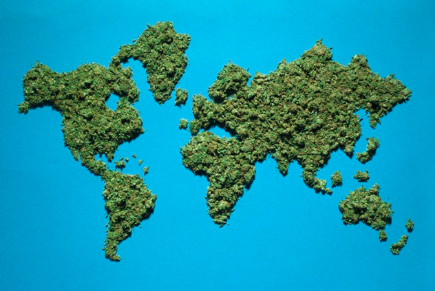 edenlabs's tweet photo. With so many worldviews on how cannabis should be regulated, UN struggles to get USA on board supporting global cannabis policy as US states this “would undermine effective drug control.” Read full article from @Forbes https://t.co/CBZayFil6b https://t.co/j2OXdVsIYi