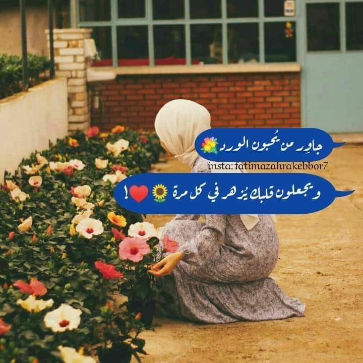 💞 شـهہ‏‏د... ⭕❌ لاابادل صور جريئة ⭕❌ tweet media
