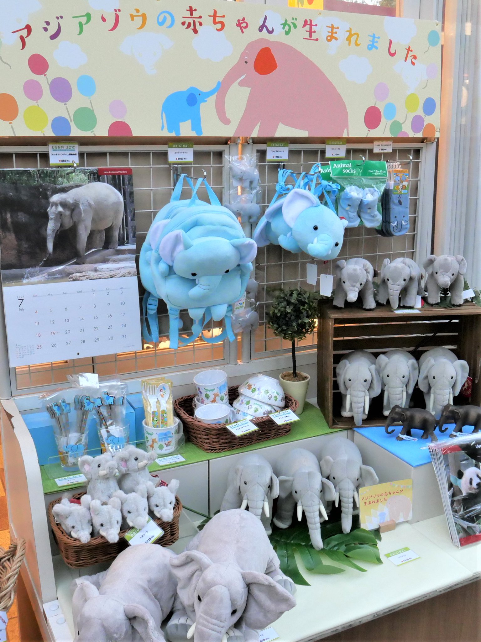 上野動物園 公式 Sur Twitter 12月から 時間限定ですが赤ちゃんゾウの公開が始まりました ゾウ舎近くの東園ギフトショップ リトルトランクでは ゾウグッズのミニコーナーを展開中 ぜひお立ち寄りください ちなみに リトルトランク は ゾウの鼻 と 上野動物園 公式 Sur Twitter 12月から 時間限定ですが赤ちゃんゾウの公開が始まりました ゾウ舎近くの東園ギフトショップ リトルトランクでは ゾウグッズのミニコーナーを展開中 ぜひお立ち寄りください ちなみに リトルトランク は ゾウの鼻 と