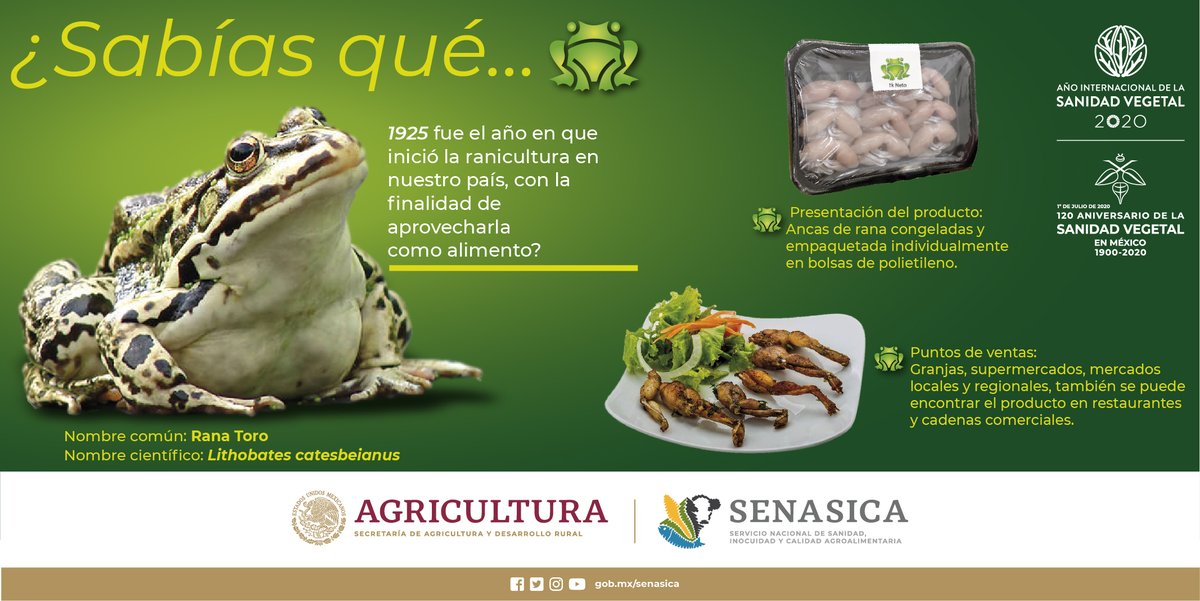 SENASICA's tweet photo. Buenas prácticas de producción acuícola: se aplican en los procesos de producción con la finalidad de asegurar el bienestar y la calidad del producto https://t.co/7amX2QMGhV