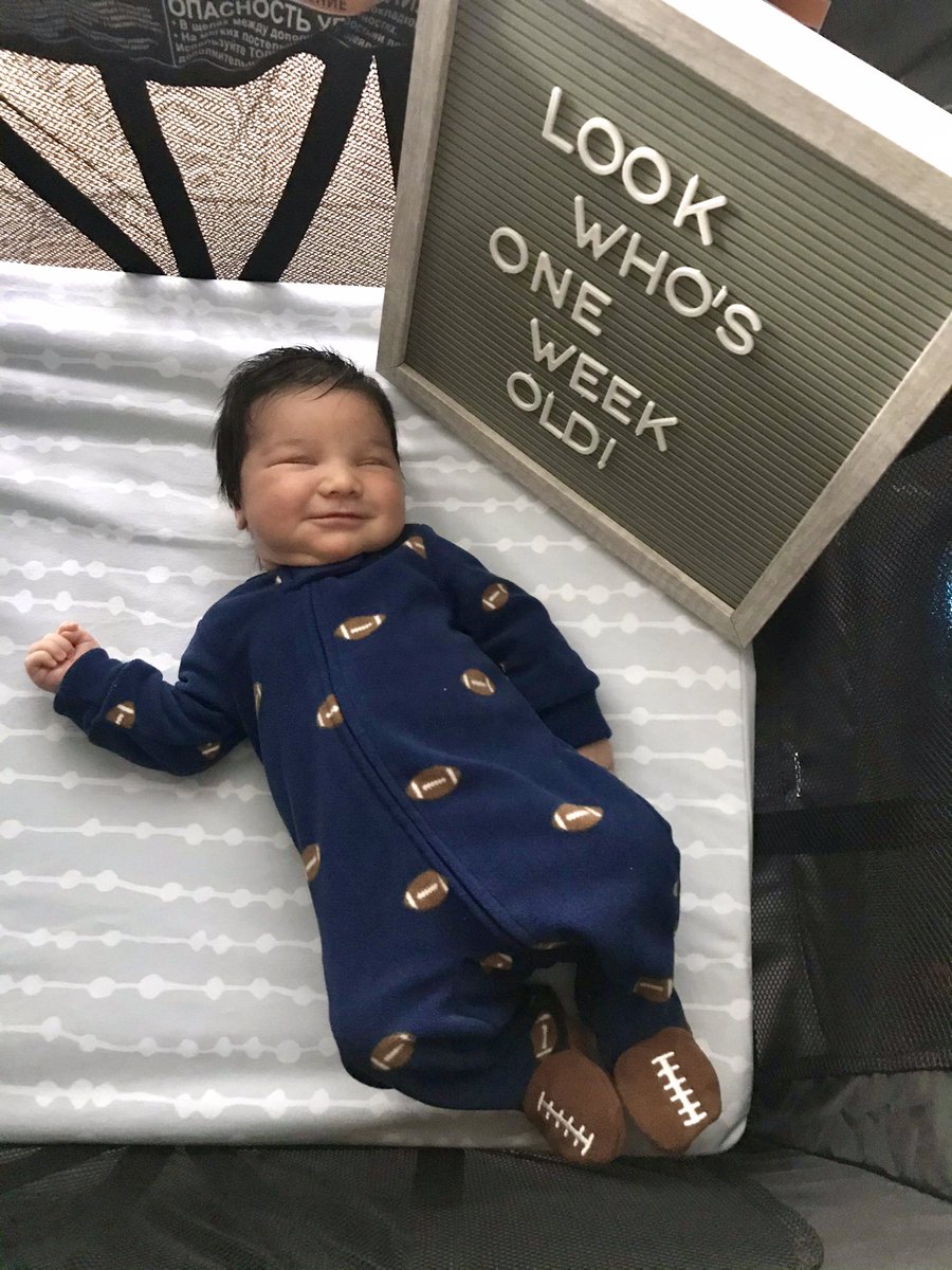 AlexV_TV's tweet photo. Our happy babies!!! 🥰 Can’t believe we’ve already spent a week as a family of FOUR!!! 👨‍👩‍👧‍👦 https://t.co/ape6irqMAM