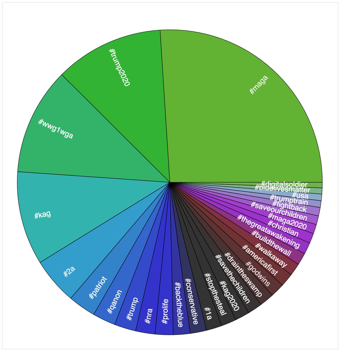 At first glance,  @SidneyPowell1's followers appear to be largely run-of-the-mill  #MAGA and  #QAnon accounts, and the hashtags used in their profiles corroborate this. Looking deeper, however, we ran across some interesting anomalies. . .